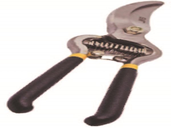 Pruning Shear