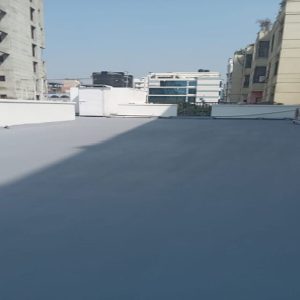 Exim bank Director’s House